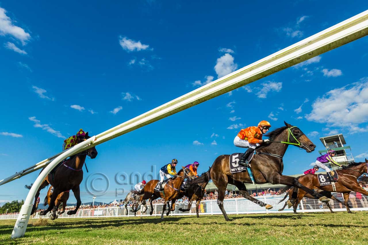 Horse racing at Cairns Amateurs Carnvial 2015
