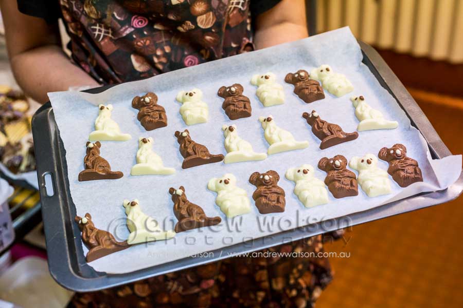 Australian wildlife themed chocolates at Coffee Works, Mareeba