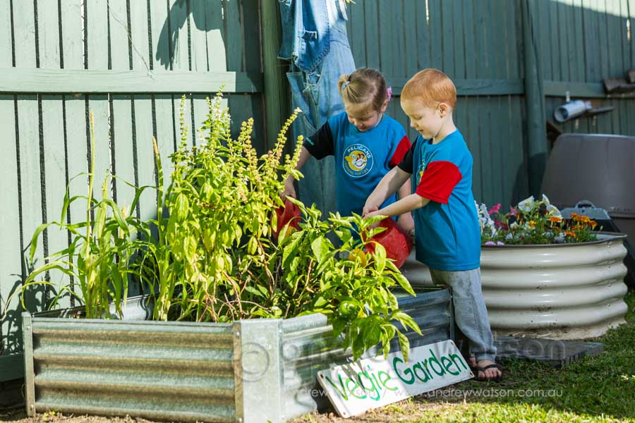 Children watering plants in garden at Pelican Childcare