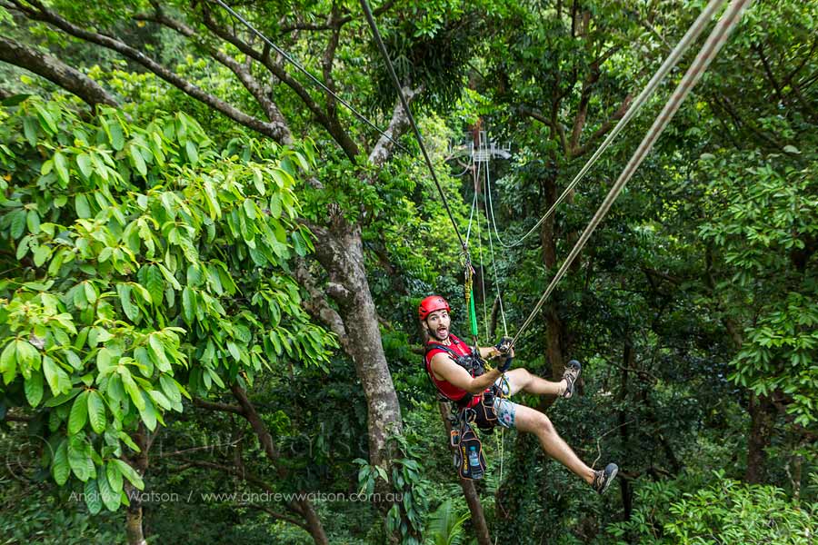 Guide ziplining between platforms on rainforest canopy ropes