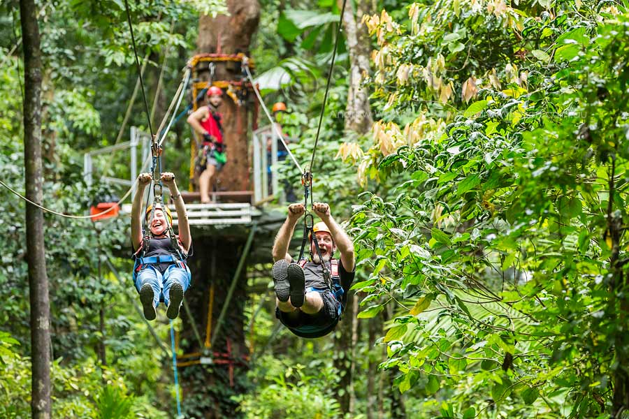 Couple racing each other on rainforest zip-line