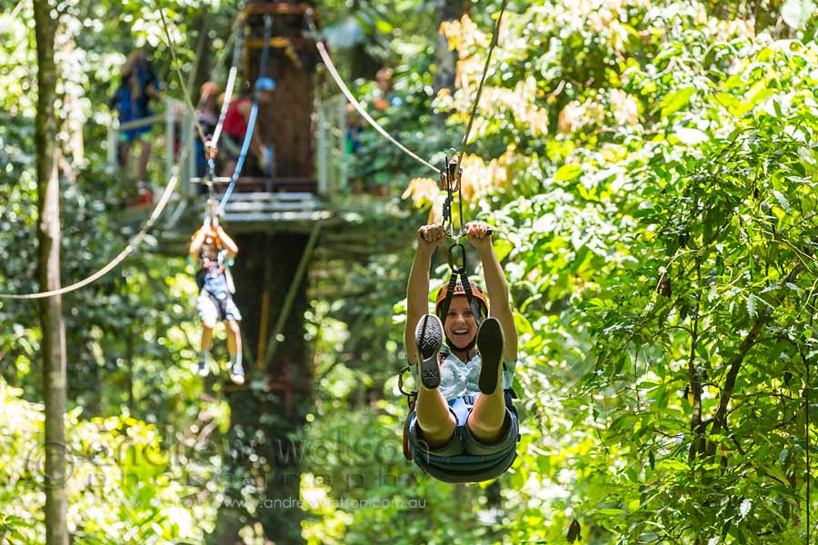 People racing each other on rainforest zip-line