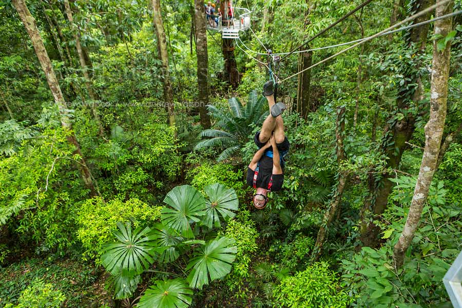 Tourist upside down on zip-line above tropical rainforest