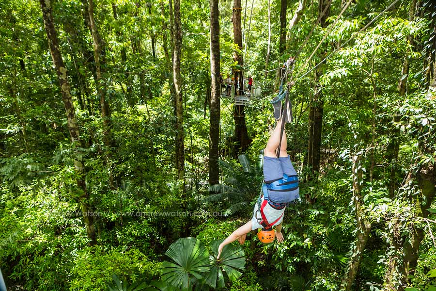 Tourist upside down on rainforest zip-line