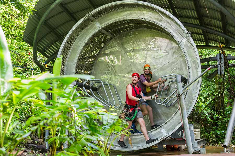 Tourists on human hampster wheel for jungle surfing canopy tour