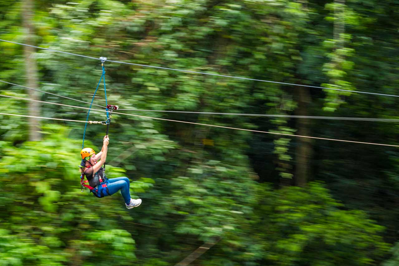 Tourist zip-lining through Daintree rainforest canopy at speed