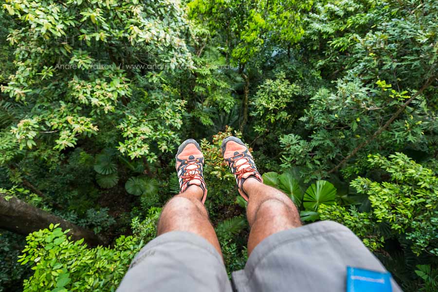View of feet above Daintree rainforest on ziplining tour