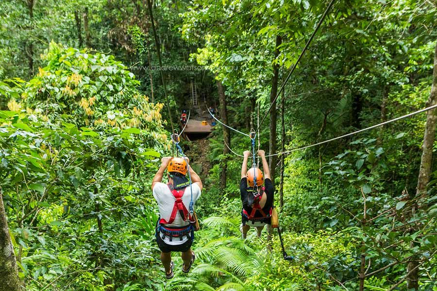 View of couple racing down rainforest zipline