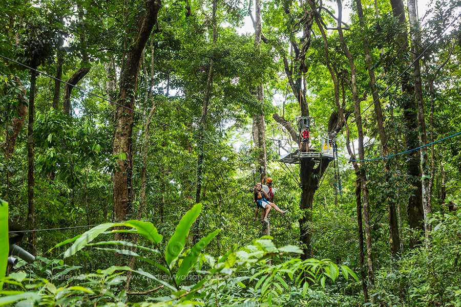 Couple on zipline tour in the Daintree rainforest canopy