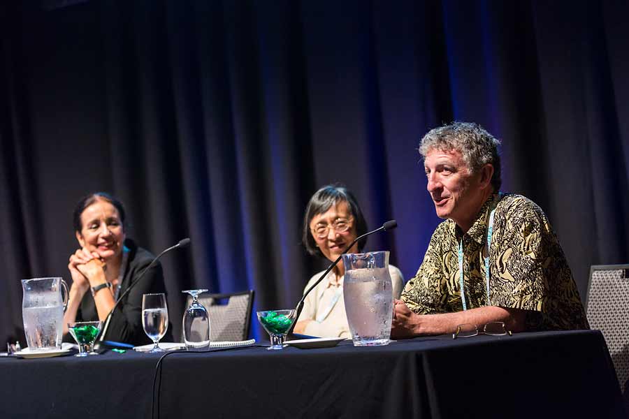 Image of panel discussion during plenary sessions of ANZSGM 2016