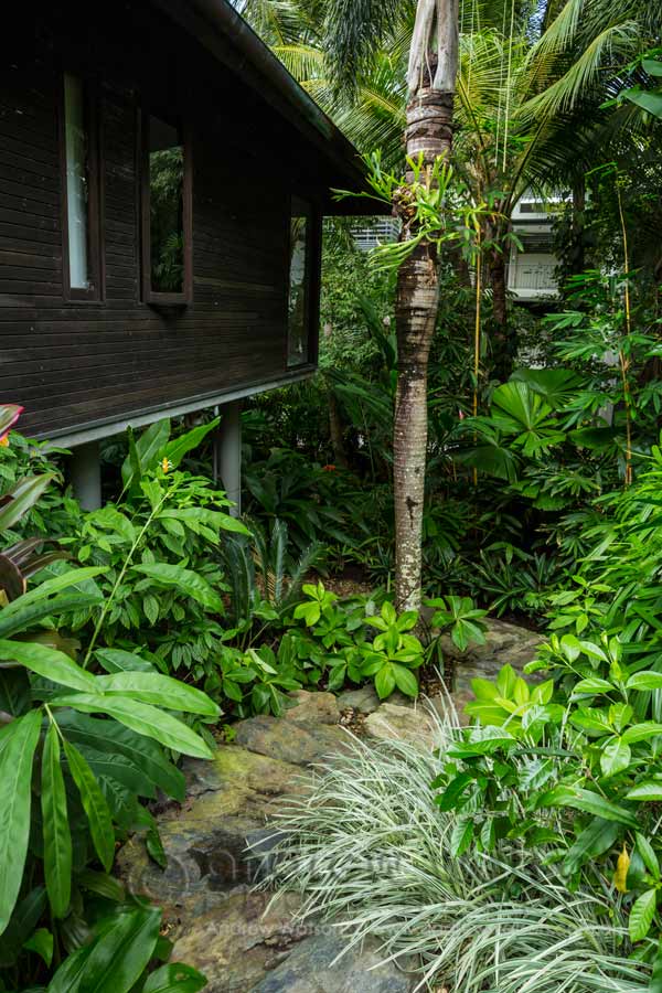 Image of residential tropical garden in Port Douglas