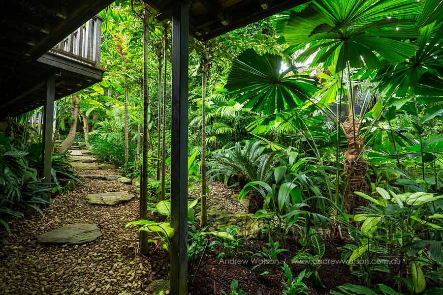 Image of residential tropical garden in Port Douglas
