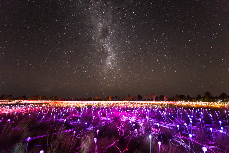 Image of the Field of Light Installation and night sky above