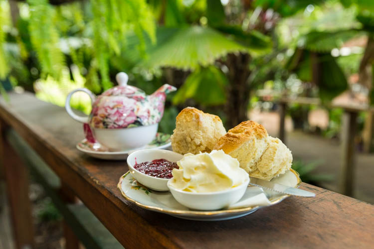 Image of scones, cream and jam with tea at Old Station Tea House