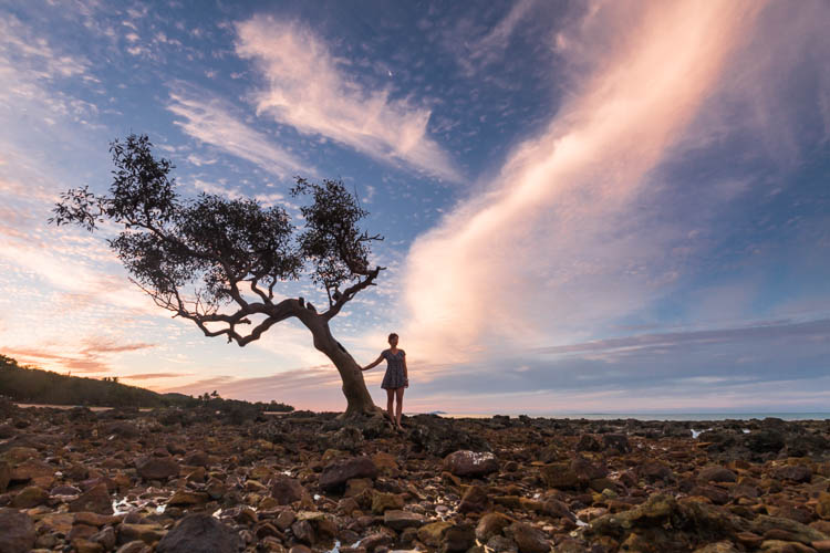 Image of woman and mangrove tree at sunset, Clairview Beach