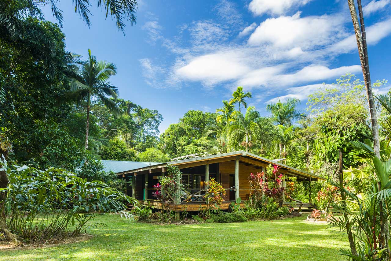 A holiday cottage surrounded by tropical Daintree rainforest