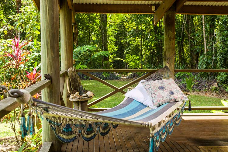 Hammock looking out on the rainforest surrounds at Daintree holiday cottage