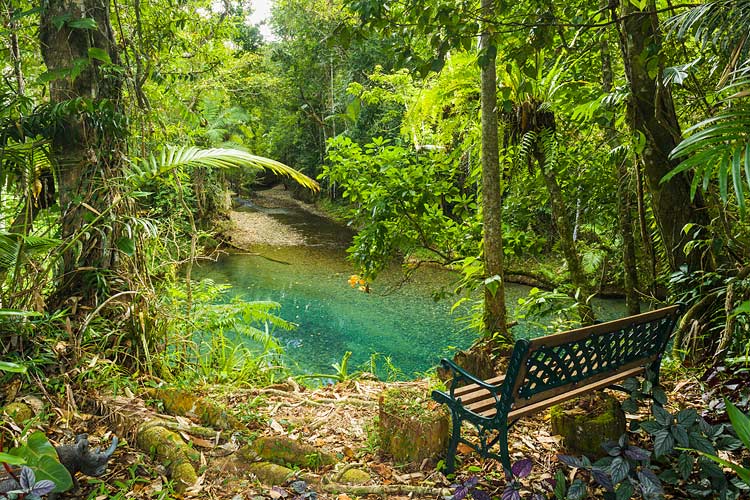 Seat overlooking clear waters of a rainforest creek in the Daintree