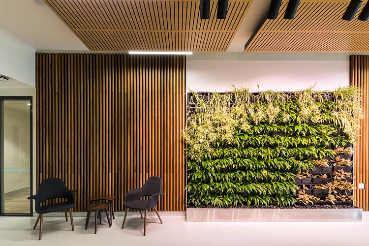 Wall of greenery in Spinal Life centre foyer, Cairns