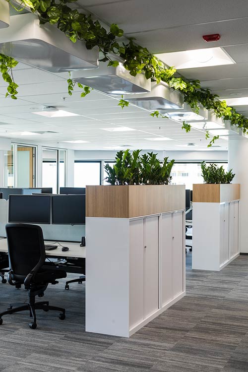 Office workspace interior with plant bed in ceiling pots