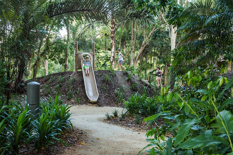Kids on a playground slide surrounded by lush tropical foliage