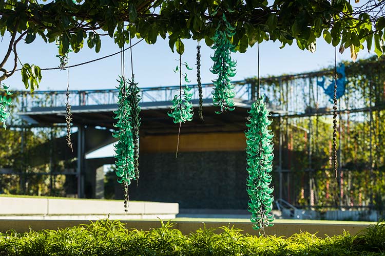 Jade vine flowers in bloom with the Munro Martin Parklands performance stage beyond