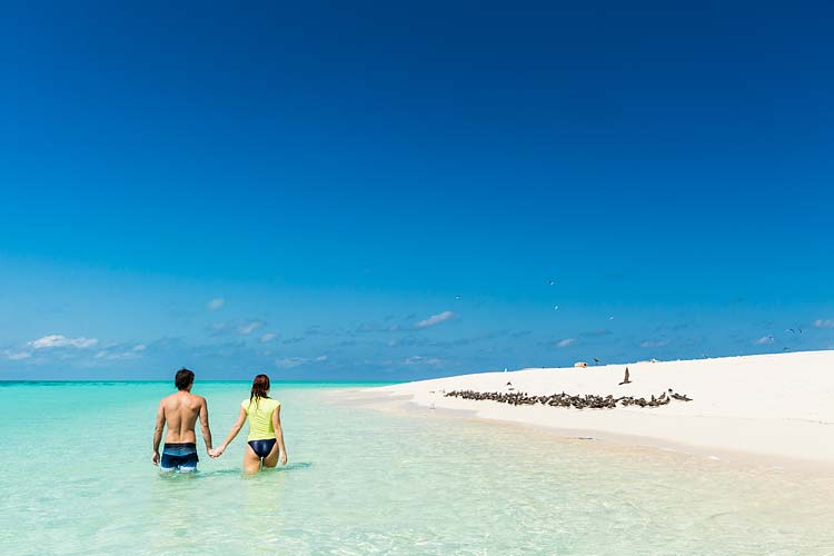 A couple walking around sand cay looking at birdlife on the Great Barrier Reef