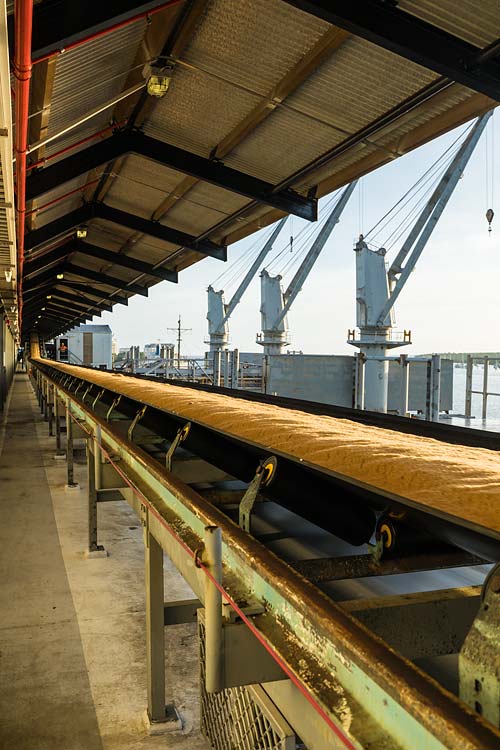 Conveyor belt transporting raw sugar along the wharf at the Cairns Sugar Terminal