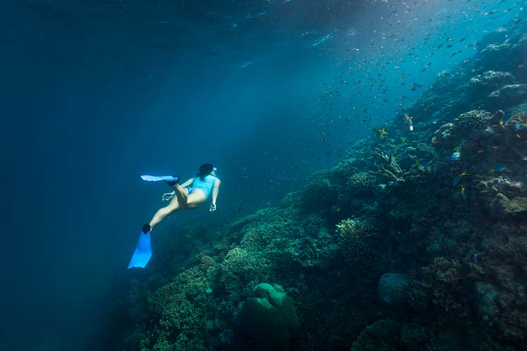 Underwater image of female snorkeller viewing corals on the Great Barrier Reef