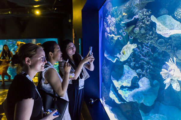 Visitors looking at underwater display at Cairns Aquarium