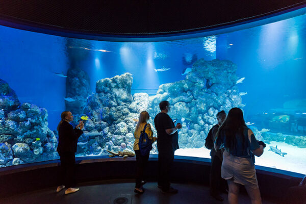 Conference delegates looking at aquarium display