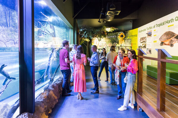 Visitors looking at wildlife display at Cairns Aquarium