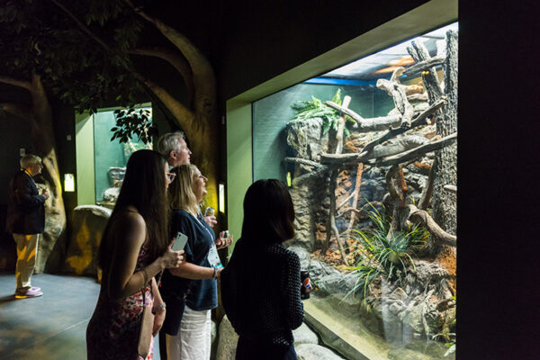 Visitors looking at wildlife display at Cairns Aquarium